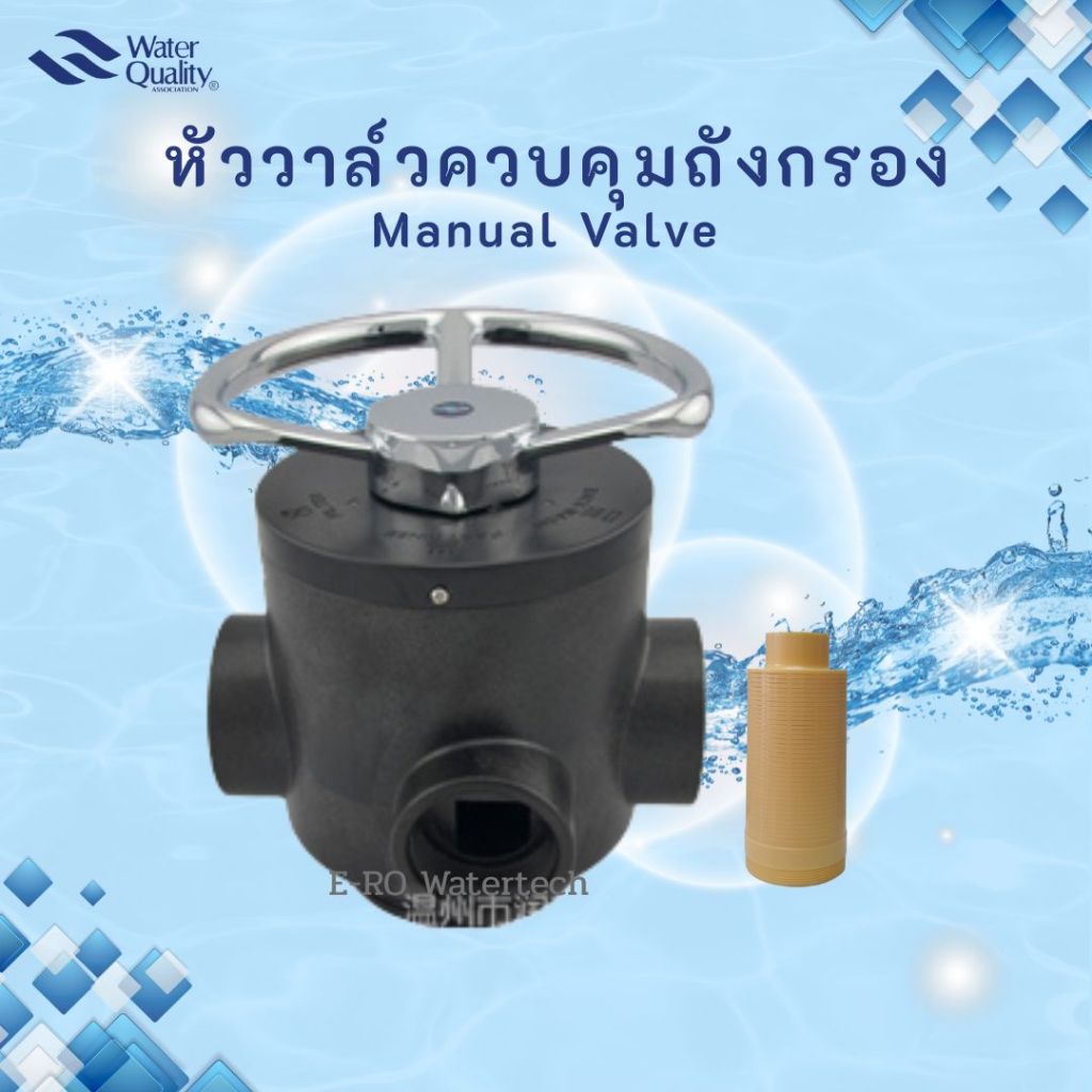 หัววาล์วควบคุม Manual แบบกรองคาร์บอน 4" F56D