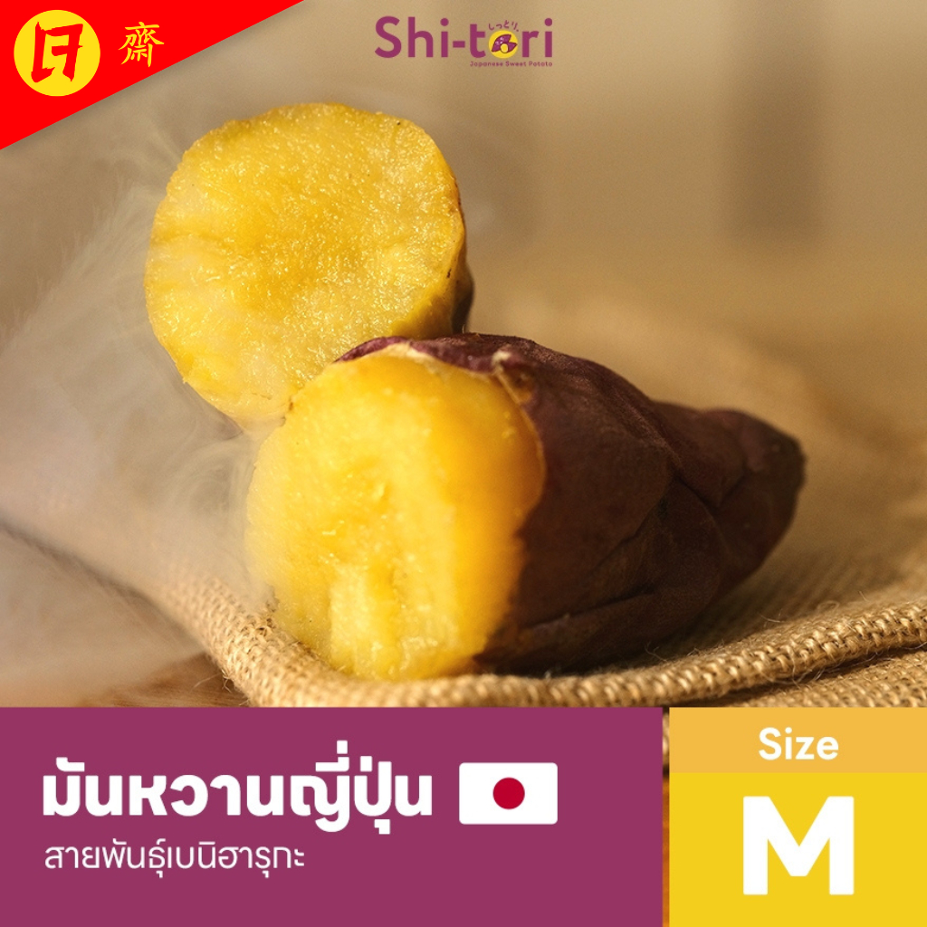 ShiTori | มันหวานญี่ปุ่น เบนิฮารุกะ Size M แพ็ค 500G. / 1Kg / 2Kg / 3Kg