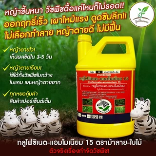 กลูโฟซิเนต-แอมโมเนียม15 แกลลอนเหลือง ตราม้าลายใบไม้ (ยกลัง 6 แกลลอน ) สารกำจัดวัชพืชแบบไม่เลือกทำลาย
