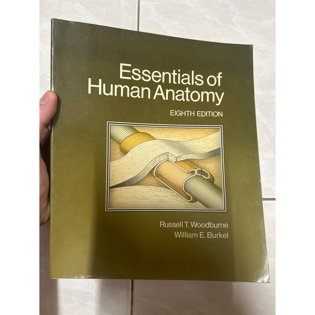 essentials of human anatomy มือสองมีขีดเขียนไฮไลท์ 50%