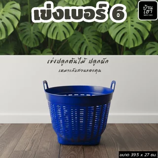 ยกโหล 12 ใบ เข่งพลาสติก เข่งเบอร์ 6 เข่งผลไม้ เข่งปลูกต้นไม้ #เบอร์6