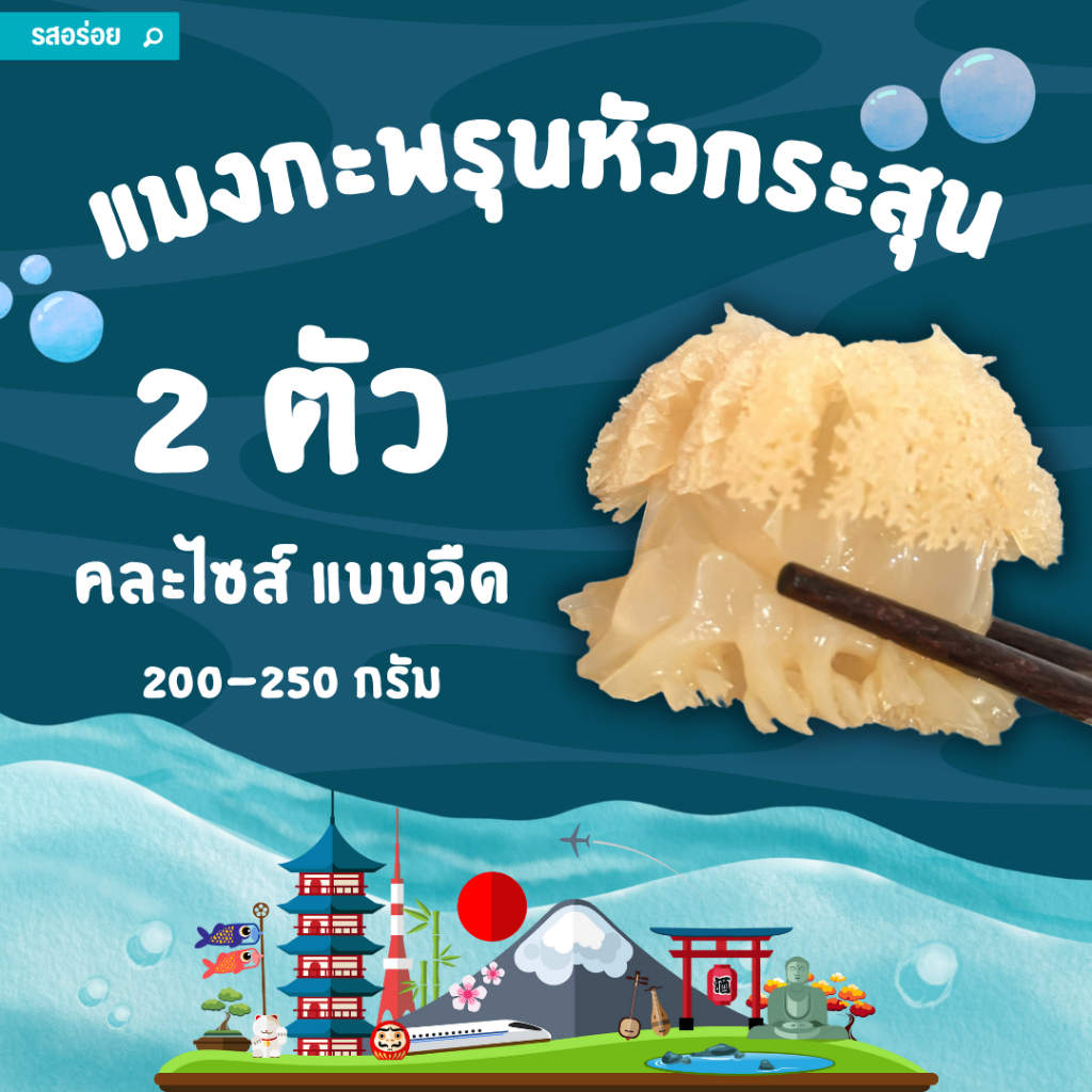 แมงกะพรุนหัวกระสุนจืด Jellyfish ญี่ปุ่น แช่จืดให้แล้ว 1 คืน สำหรับประกอบอาหารทันที
