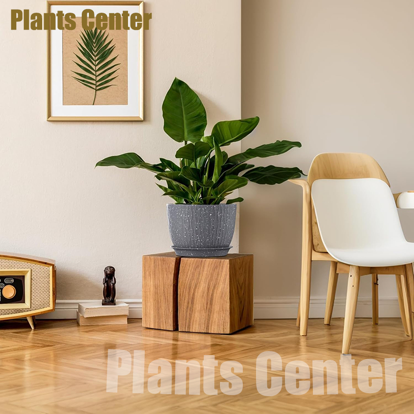 Plants Center กระถางต้นไม้ ขนาดใหญ่ พร้อมถาดรองกระถาง ลายหินแกรนิต คลื่นน้ำสวยงาม ทนทานทนแดด T059 - รูปที่ 2