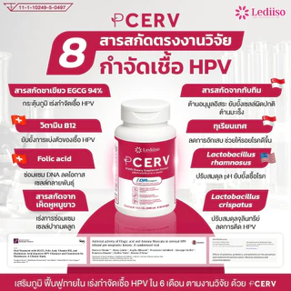 PCERV ผลิตภัณฑ์เสริมอาหาร เสริมภูมิภายใน ลดความเสี่ยงเชื้อ HPV จาก EGCG, Folic Acid, B12, Hyaluronic