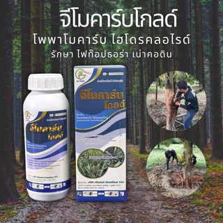 👍 คุ่หู ฆ่าเชื้อรา ไฟท๊อป เน่าคอดิน สูตรเกษตรเปิดใจ รักษาอย่างได้ผล ได้ภายใน 24 ชม.