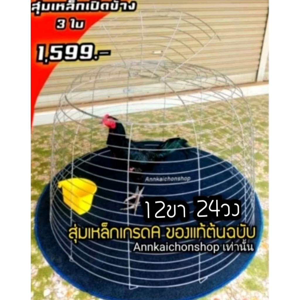 #สุ่มแสนเก่ง #สุ่มเหล็กเปิดข้าง3ใบ 12 ขา 24 วง #สุ่มไก่ชน #สุ่มไก่เก่งแข็งแรงมาก