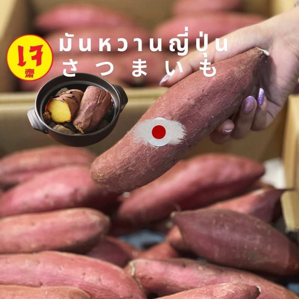 มันหวานญี่ปุ่นเบนิฮารุกะ ขนาด M-( Premium)ผิวสวย