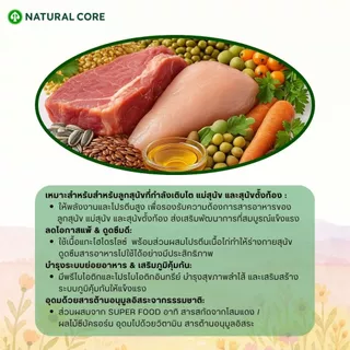 Natural Core Eco5a Puppy / Lamb อาหารสำหรับลูกสุนัข เเละแม่สุนัข เกรดออร์แกนิก นำเข้าจากเกาหลี🇰🇷