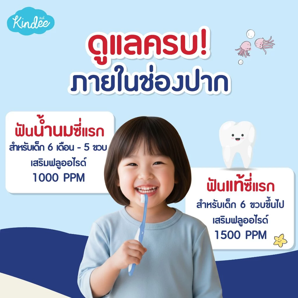 Kindee คินดี้ แปรงสีฟัน ยาสีฟันเด็กพรีเมียม สูตรพรีแอนด์โพรไบโอติกส์ มีฟลูออไรด์ (60 กรัม) thumbnail 3
