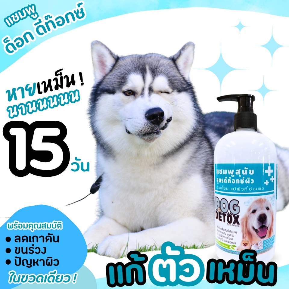 ⚡ส่งฟรี!ใช้ดีมาก⚡แชมพูแก้กลิ่นสาบ ฟื้นฟูสภาพผิว🐶🐱ด็อกดีท๊อกซ์ 500 ml.