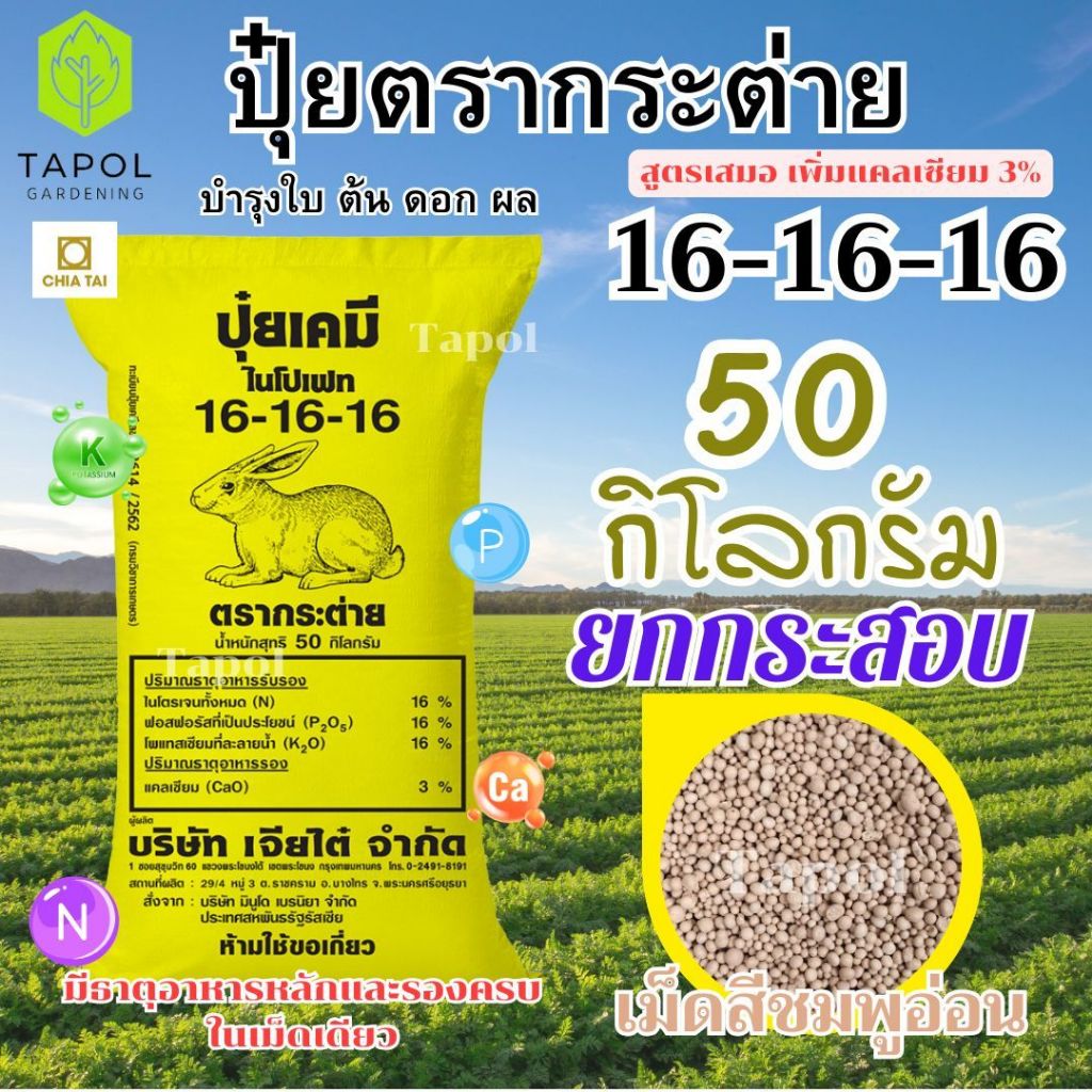ปุ๋ยตรากระต่าย 16-16-16 กระสอบเหลือง 50 กิโลกรัม เพิ่มแคลเซียม 3 % เม็ดสีชมพูอ่อน คุณภาพเต็มสูตร
