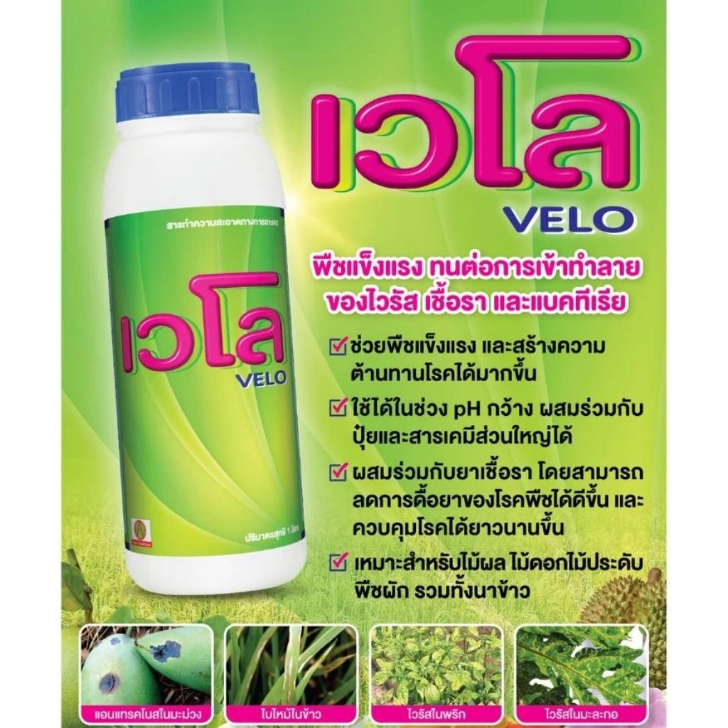 เวโล ขนาด 1 ลิตร กำจัดเชื้อรา แบคทีเรีย รวดเร็วและมีประสิทธิภาพ พืชแข็งแรง(1 ขวดใช้ได้ 20 ไร่)