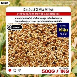 มิลเล็ต 3สี Mix Millet เกรดA อาหารนกเขาเล็ก นกแก้ว สัตว์ฟันแทะ สะอาด ร่อนฝุ่น (แบ่งขาย 500G / 1KG)