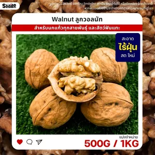 วอลนัท Walnut สำหรับนกแก้ว หนูแฮมสเตอร์ กระรอก แพรี่ด็อก และสัตว์ฟันแทะ (แบ่งขาย 500G / 1KG)