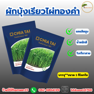 ผักบุ้งเจียไต๋ พันธุ์เรียวไผ่ทองคำ 1 กิโลกรัม** เจียไต๋