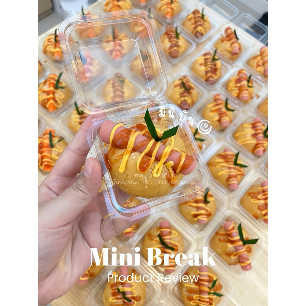 G-24 P-24 กล่องพลาสติกใส 1 แพ็ค 50 ใบ