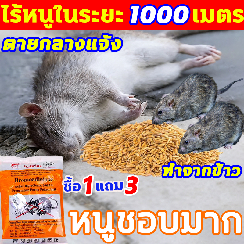 🐀อาหารมื้อสุดท้ายของหนู ยากําจัดหนู ซื้อ1แถม3 กําจัดหนู หนูตายแห้งที่นอกบ้าน ไม่มีกลิ่นเหม็น ยาฆ่าหนู ทำจากข้าวสาลี