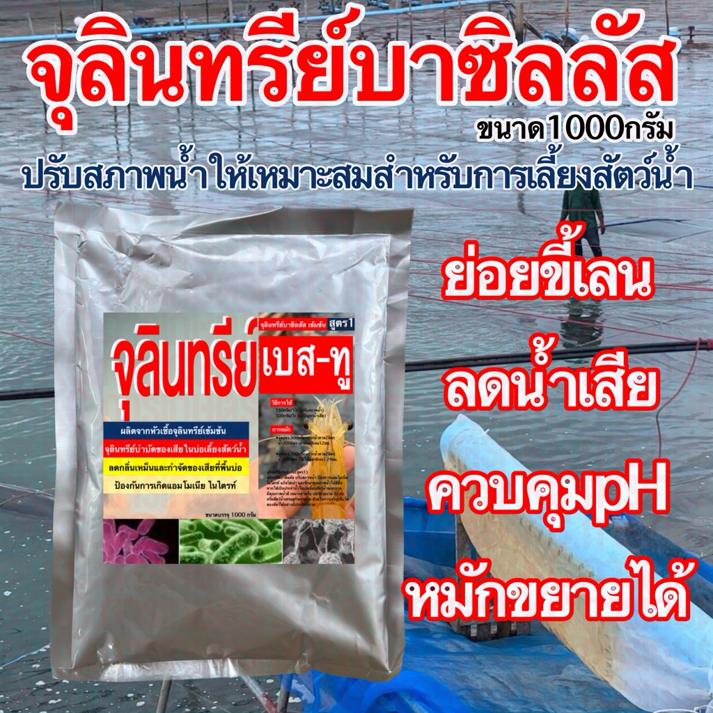 จุลินทรีย์บาซิลลัส เบส-ทู ปรับสภาพน้ำ 1กิโลกรัม