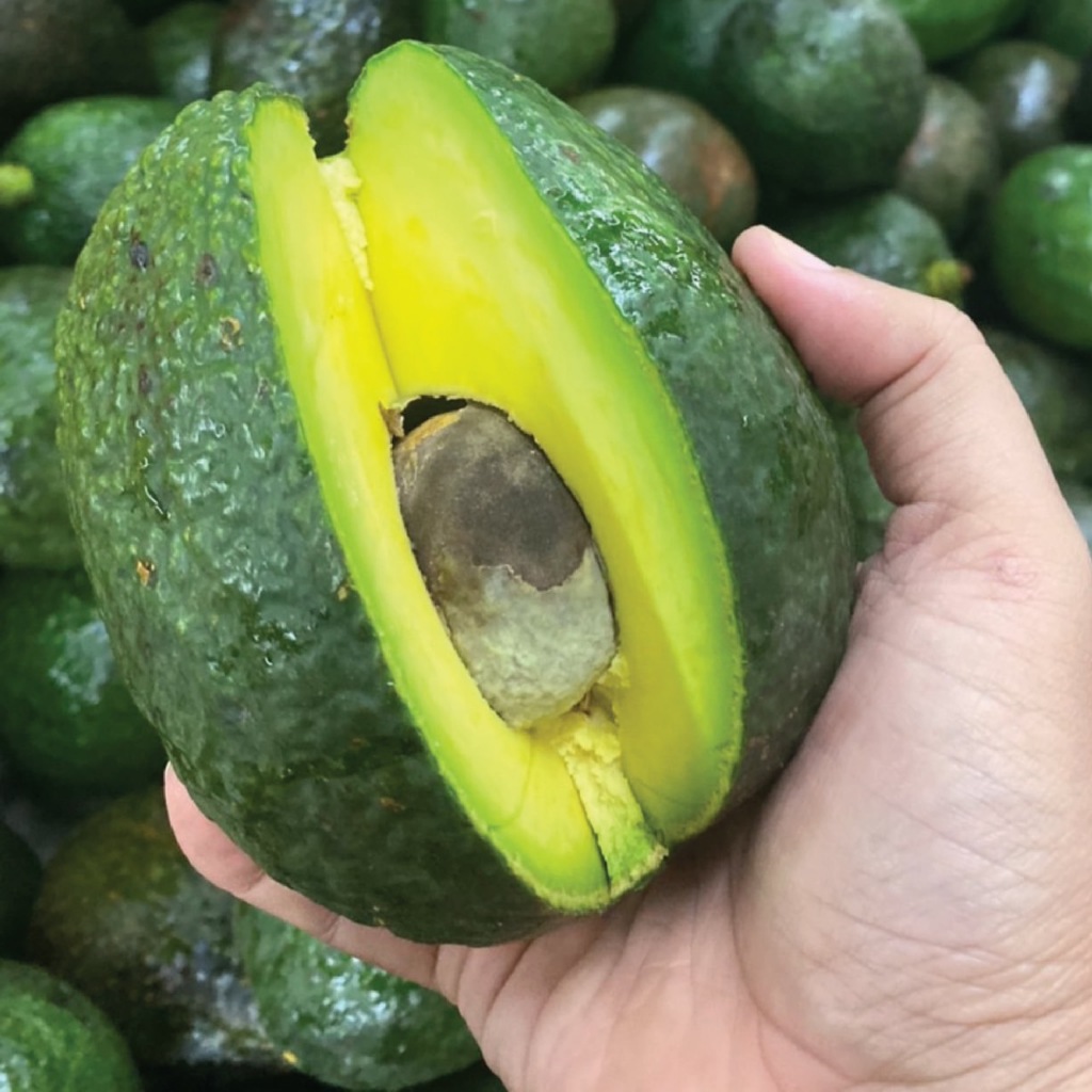 อะโวคาโด้ ตองจี ของพม่า **ขายเป็นกิโล 2-4 ลูกต่อโล **เหนียวมันอร่อยสุดๆ 🥑 - รูปที่ 2