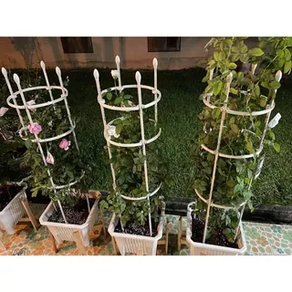 🌹 ซุ้มไม้เลื้อย กุหลาบ 4 ขนาด 🌿 โครงเหล็กดัด เคลือบ PE กันสนิม ใช้ในกระถางได้ ซุ้มปลูกไม้เลื้อย ระแนงตกแต่งสวน