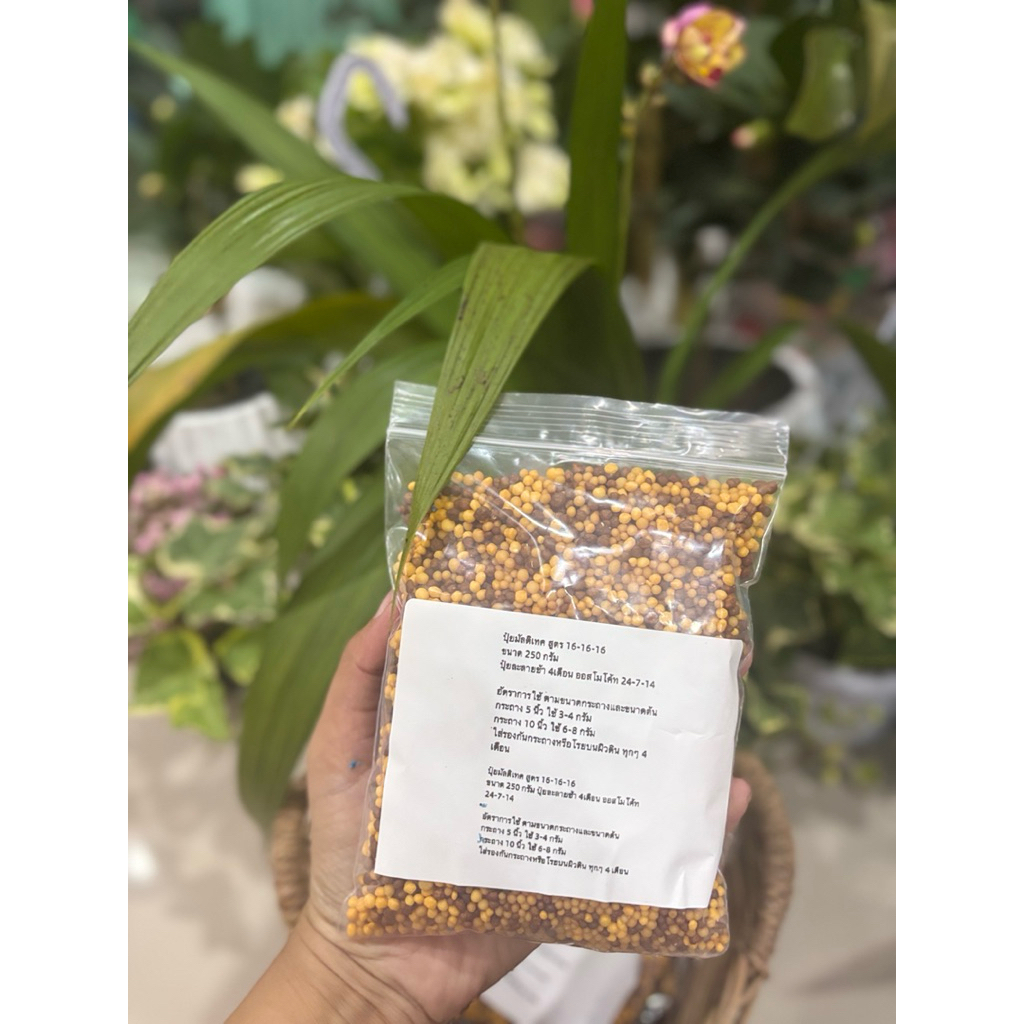 ปุ๋ยมัลติเทค เหลือง สูตร 16-16-16   ปุ๋ยละลายช้า 4เดือน