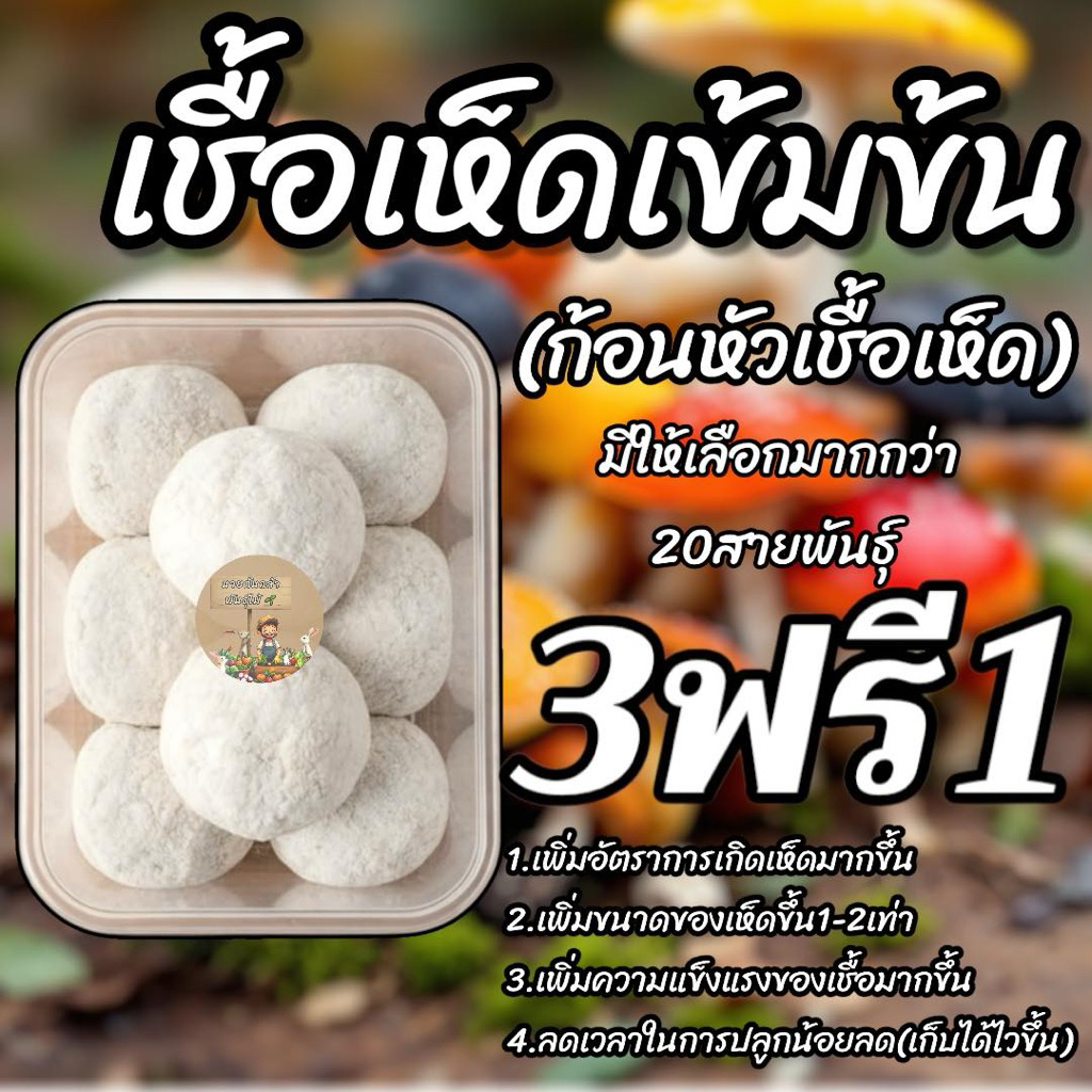 🔥3ฟรี1🔥ก้อนหัวเชื้อเห็ด สูตรเข้มข้มพิเศษx3 มีให้เลือกมากกว่า 20สายพันธุ์ เช่น เห็ดระโงก ตับเต่า โคนปลวก อื่นๆ ก้อนเห็ด
