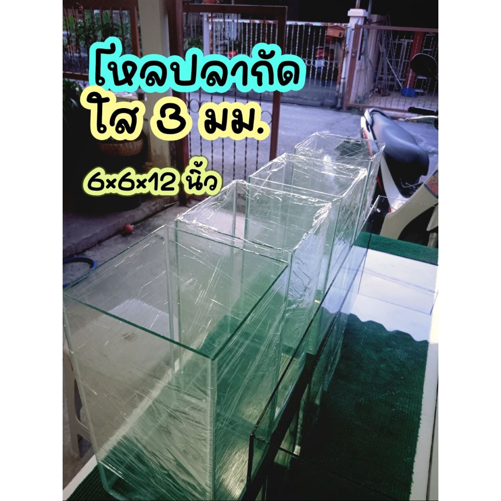 โหลปลากัด ใส 3 มม.6×6×12 นิ้ว