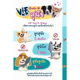 Felina Canino VIF อาหารเปียกสำหรับสุนัข ขนาด 75 กรัม (12ซอง)