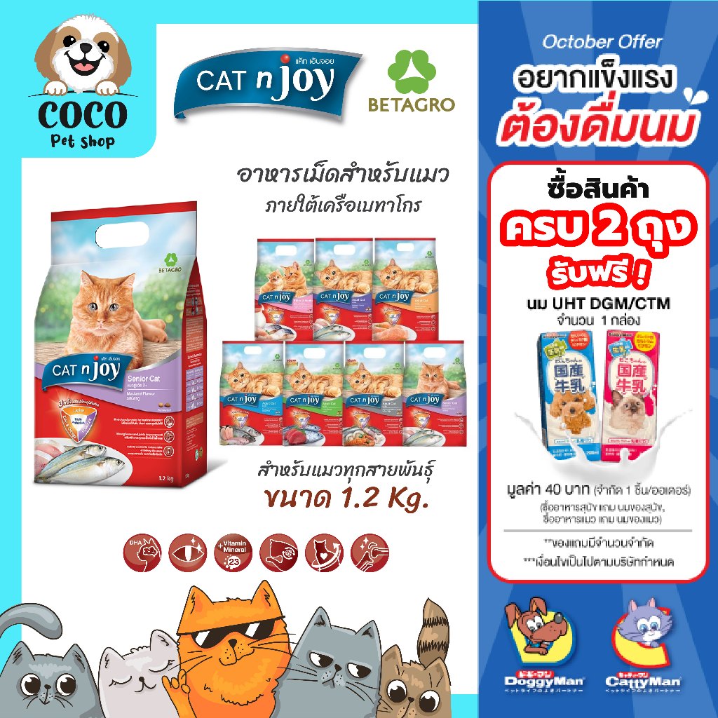 cocopet_shop 🌈Cat n Joy Tripple Protection แคทเอ็นจอย อาหารเม็ดสำหรับแมวเกรดพรีเมี่ยมครบสูตร ขนาด 1.2kg. เหมาะทุกช่วงวัย