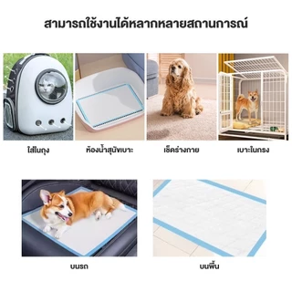 【พร้อมส่ง】แผ่นรองฉี่สุนัข แผ่นรองฉี่แมว ซึมซับไดีดี ต่อต้านแบคทีเรีย ระงับกลิ่น ช่วยฝึกขับถ่าย แผ่นรองซับ ทรายแมว