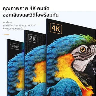 สายเคเบิล Type C เป็น HDMI 4K 60Hz 1080p 1m-3m สำหรับแล็ปท็อป notebook โฟน แท็บเล็ต