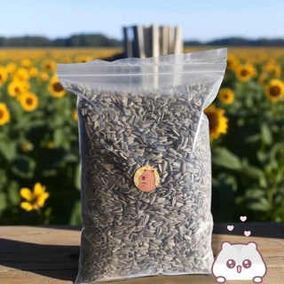 เมล็ดทานตะวันลาย (แบ่งขาย 500 g. ,200g., 1 kg.) อาหารนกแก้ว นกเล็ก เเละนกขนาดกลาง อาหารแฮมเตอร์ เเละสัตว์ฟันเเทะ
