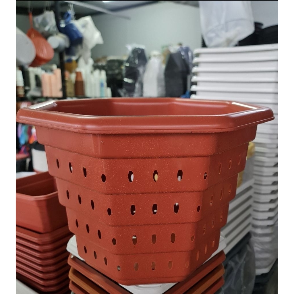 กระถางเร่งรากSuperหนา‼️หนา รูเยอะ ระบายน้ำดี เร่งรากโตไวขนาด10