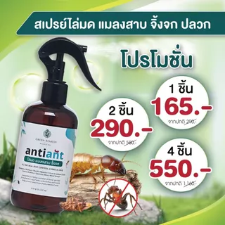 Anti-ANT สเปรย์ไล่มด ไล่แมลงสาบ ไล่จิ้งจก กำจัดปลวก มด จิ้งจก แมลง สูตรออร์แกนิค 100% 250 ml