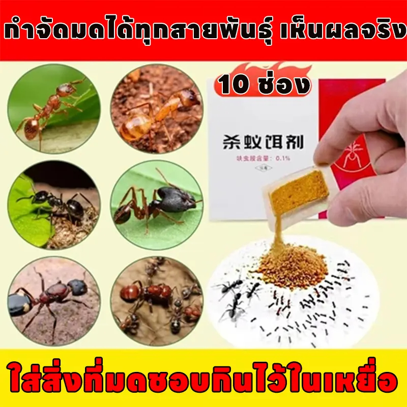 ตัวเดียวตาย รังพังทั้งรังครับกำจัดมด ยาฆ่ามด ยากำจัดมด เหยื่อมด 10ชิ้น/กล่อง ฆ่ามดได้ทุกมุม ปลอดภัยต่อคนและสัตว์เลี้ยง