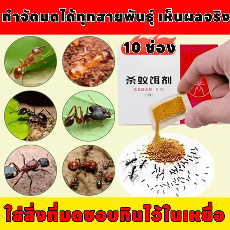 ตัวเดียวตาย รังพังทั้งรังครับกำจัดมด ยาฆ่ามด ยากำจัดมด เหยื่อมด 10ชิ้น/กล่อง ฆ่ามดได้ทุกมุม ปลอดภัยต่อคนและสัตว์เลี้ยง
