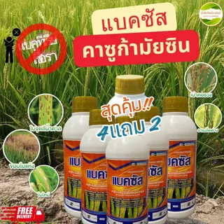 แบ็คซัส สารคาซูกามัยซิน ได้ทั้งแบคทีเรียและเชื้อรา ป้องกันและรักษาโรคข้าวสำคัญ เช่นโรคขอบใบแห้งโรค ใบขีด ใบจุด เมล็ดด่าง