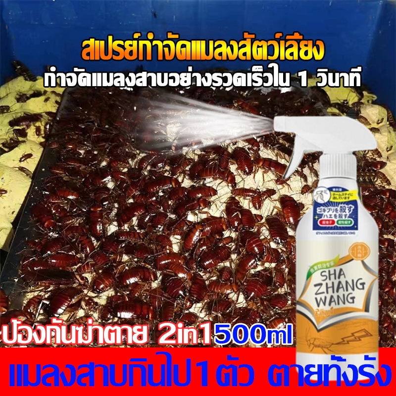 100 ปีไม่มีแมลงสาบยาฆ่าแมลงสาบ แมลงสาบกินไป1ตัว ตายทั้งรัง ยากำจัดแมลงสาบ 500ml ใช้งานได้นาน 5 ปี กำจัดแมลงสาบ ไม่ทำร้าย