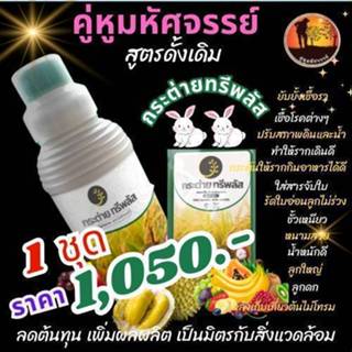 ปุ๋ยน้ำคู่หูมหัศจรรย์ สูตรดั้งเดิม กระต่ายทรีพลัส ไคโตซาน แล…