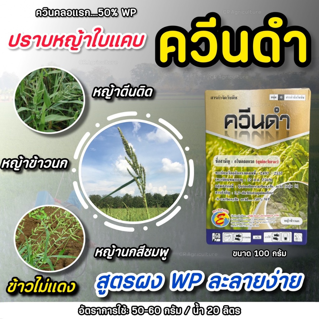 ควีนดำ ควินคลอแรก 50% (ข้าวไม่แดง ไม่งัน)  ยาฆ่าหญ้าในนาข้าว ยาเก็บหญ้า หญ้าข้าวนก หญ้าพุ่มพวง ลิเก ขนาด 100 กรัม