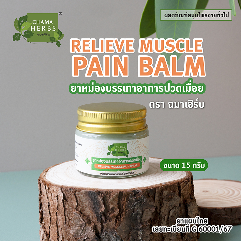 Chama Herbs ยาหม่องบรรเทาอาการปวดเมื่อย 15กรัม (ขวดแก้ว)