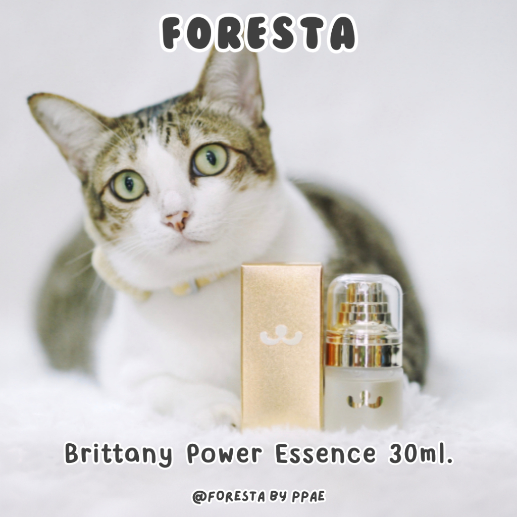 (ตัวแทน) Foresta 🌟 สเปรย์เซรั่ม Brittany Power Essence