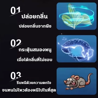 ✅หนูได้กลิ่นวิ่งหนีไปทันที✅เจลไล่หนู ยาไล่หนู ที่ไล่หนู ไล่หนูถาวร 100g ขับไล่หนูตลอด 24 ชั่วโมง ​ไร้สารเคมี ปลอดภัย