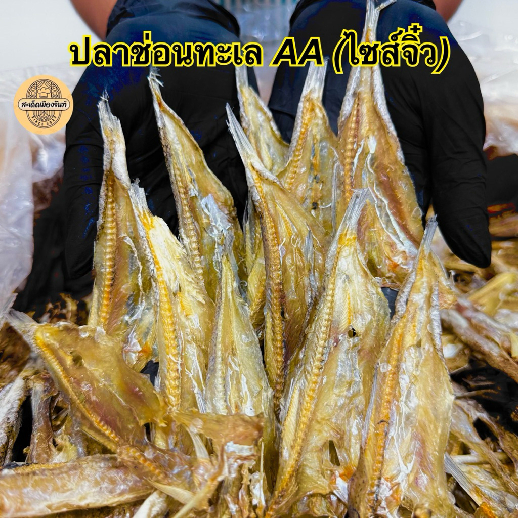 ปลาช่อนทะเล 500กรัม (ไซส์จิ๋ว) A แห้งสนิท ทานได้ทั้งตัว กรอบอร่อย อาหารทะเลแห้ง ปลาแห้ง
