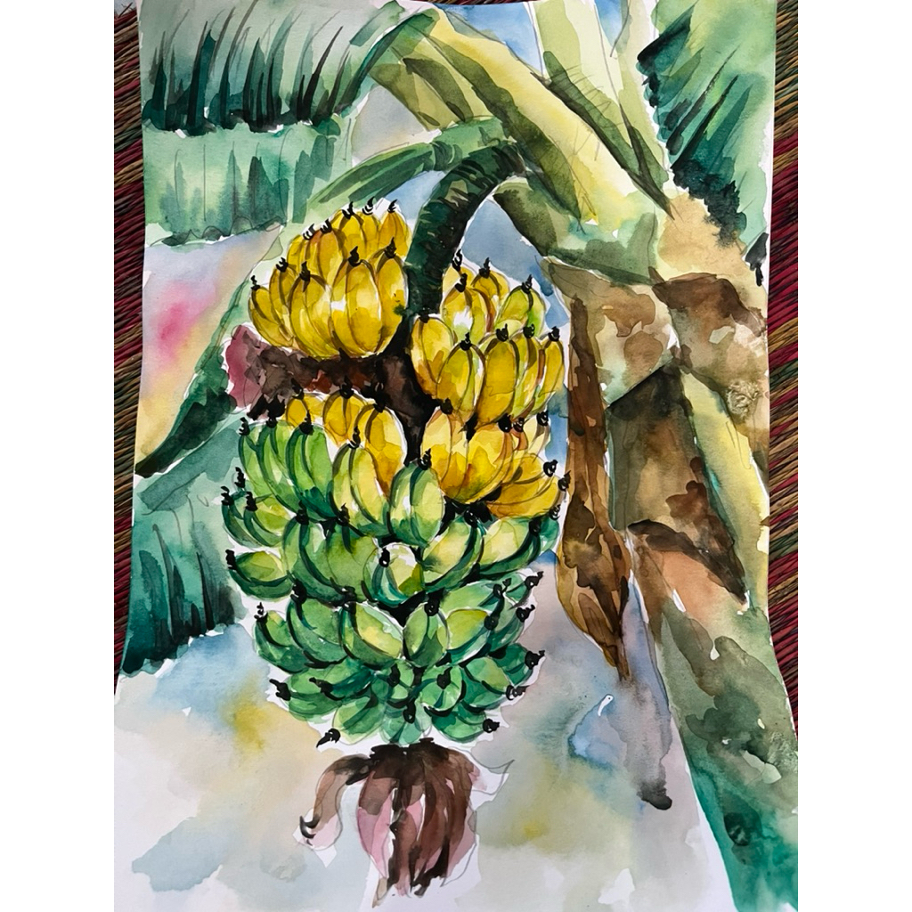 ภาพวาดเครือกล้วย ภาพวาดสีน้ำ ขนาดA4/กระดาษร้อยปอนด์ นำไปใส่กรอบตกแต่งให้สวยงาม