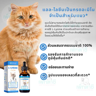 Oimmal L-Lysine ไลซีนแมว เสริมภูมิ ต้านหวัดแมว ไข้แมว ไอ จาม บำรุงสายตา วิตามินแมว (สูตรน้ำ)