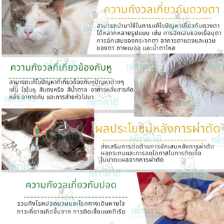Oimmal Natural Antibiotic วิตามินลดบวม ลดแดง ต้านการอักเสบ แบคทีเรีย เชื้อรา ฟื้นฟูร่างกาย สุนัข แมว