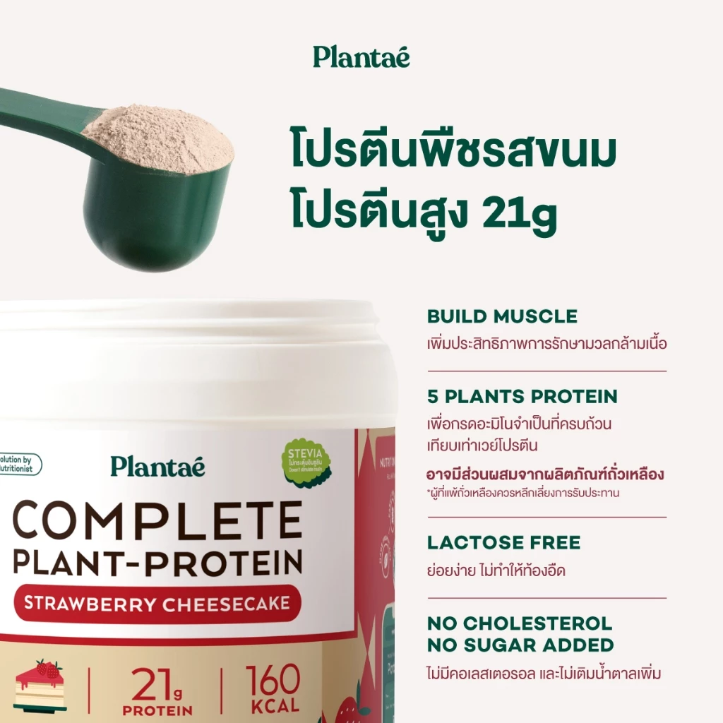 Plantae Complete Plant Protein สูตร Dessert Factory กระปุก 800g โปรตีนจากพืช plant based เพิ่มกล้ามเนื้อ โปรตีนสูง thumbnail 6