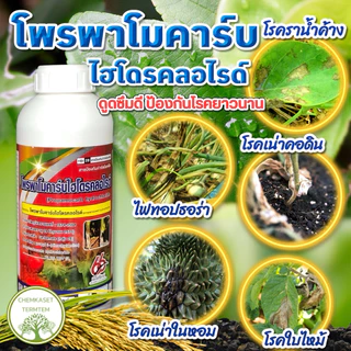 สารโพรพาโมคาร์บ ไฮโดรคลอไรด์72.2%ป้องกันกำจัดเชื้อรา โดยเฉพาะเชื้อไฟทอปธอร่า โรครากเน่า โคนเน่า