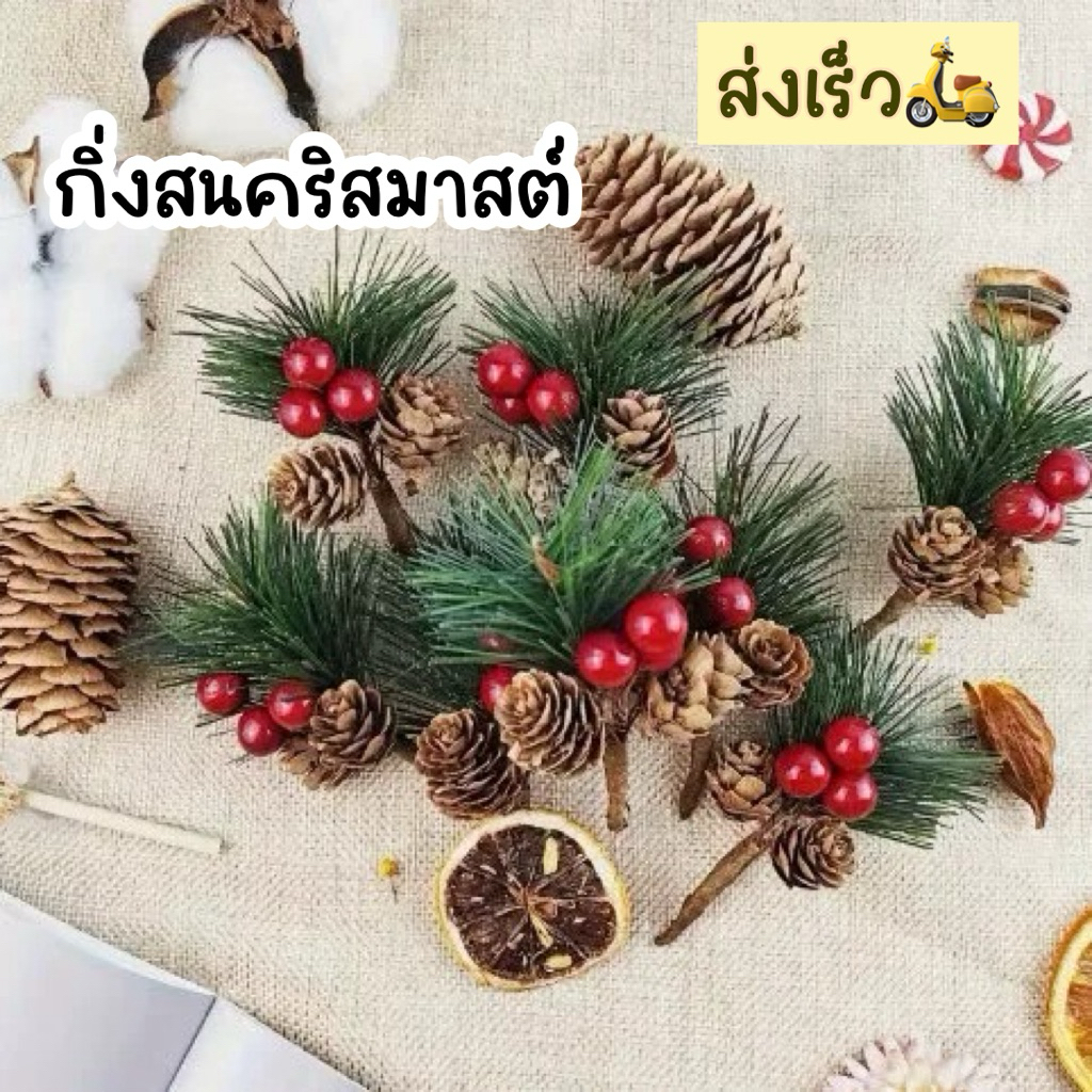 ส่งไว🛵 กิ่งสน กิ่งสนคริสมาสต์ ต้นคริสมาสต์ ของตกแต่งร้าน ลูกสนธรรมชาติ คริสมาสต์